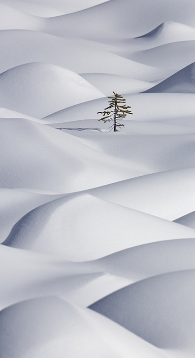 PG电子|PG电子平台·(中国)官方网站